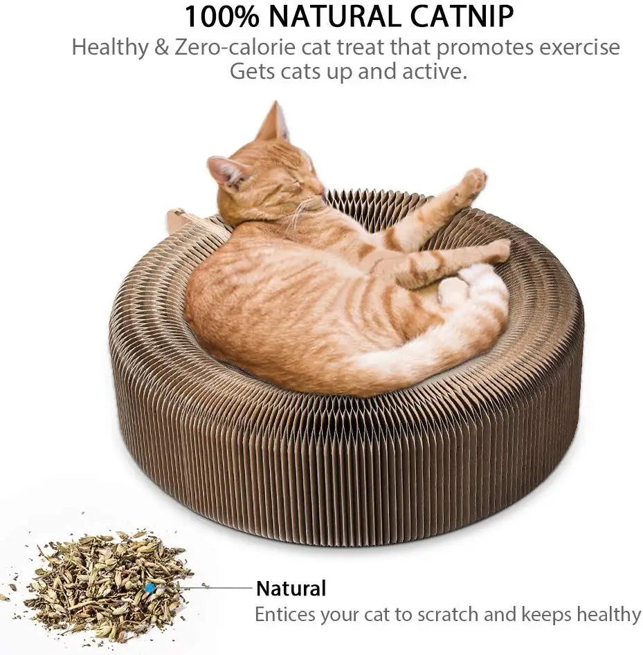 TrustiTails FoldScratch Collapsible Cat Scratcher Lounge