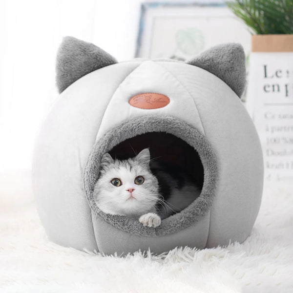 Comfort & Rest