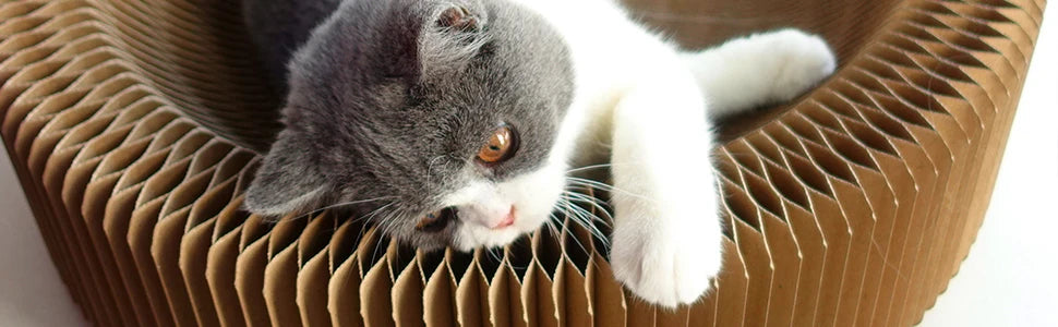 TrustiTails FoldScratch Collapsible Cat Scratcher Lounge