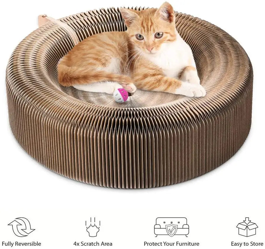 TrustiTails FoldScratch Collapsible Cat Scratcher Lounge