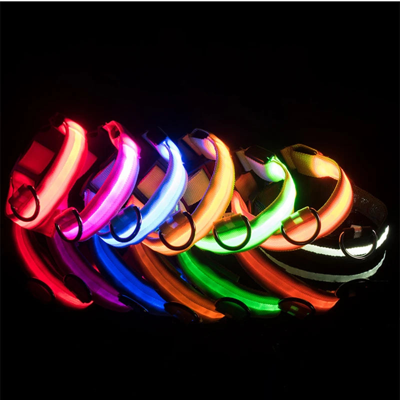 TrustiTails NightGlow LED Dog Collar