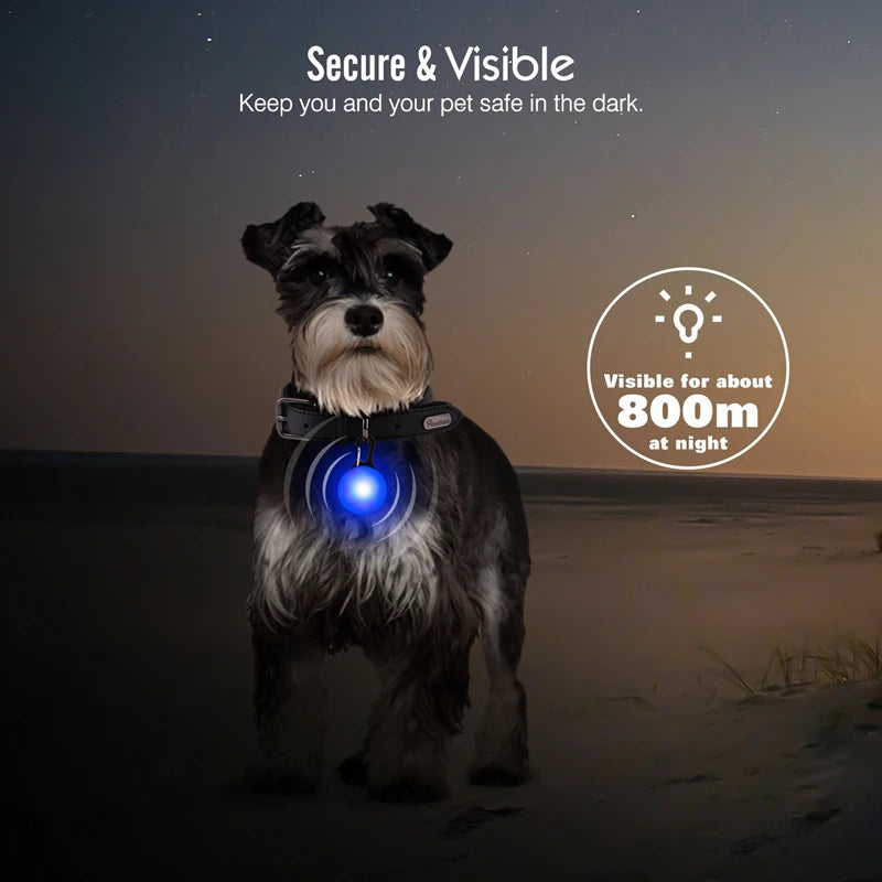 TrustiTails NightGlow LED Dog Collar