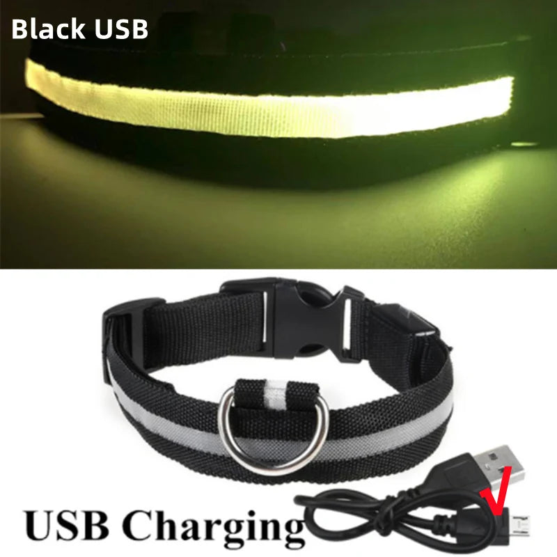 TrustiTails NightGlow LED Dog Collar