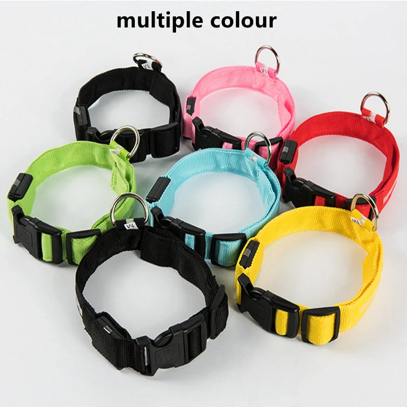 TrustiTails NightGlow LED Dog Collar