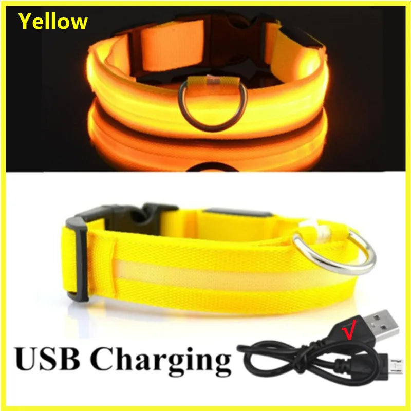 TrustiTails NightGlow LED Dog Collar