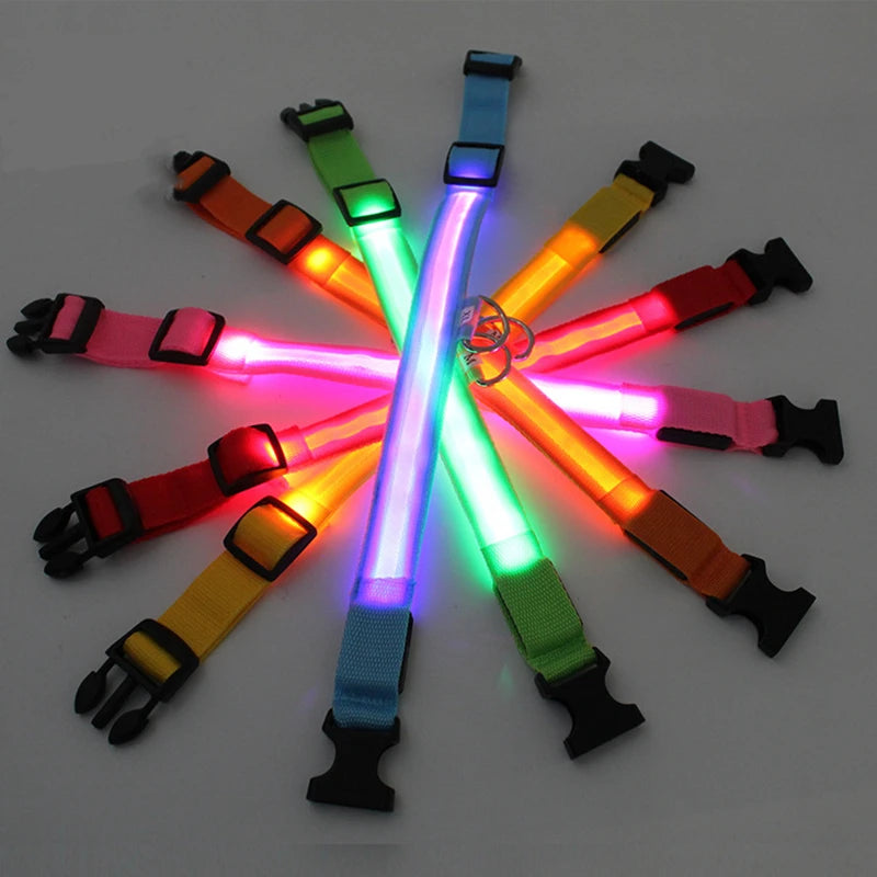 TrustiTails NightGlow LED Dog Collar