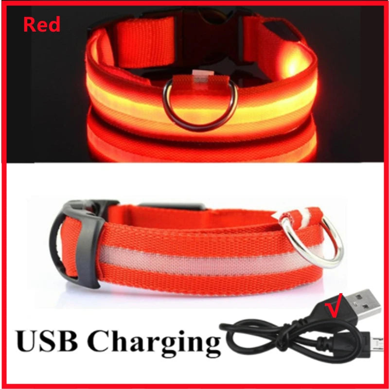 TrustiTails NightGlow LED Dog Collar