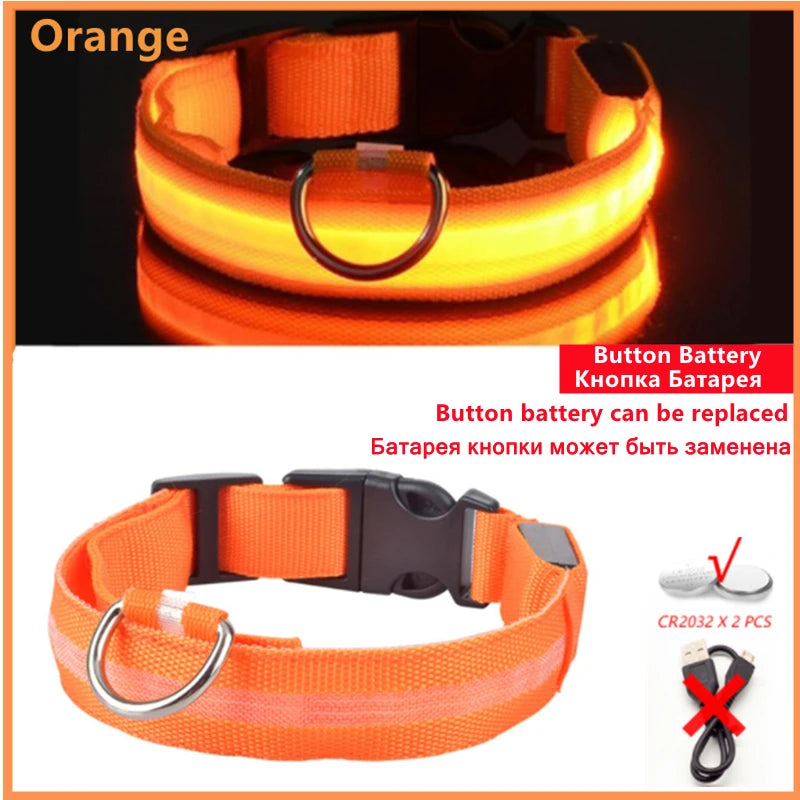TrustiTails NightGlow LED Dog Collar