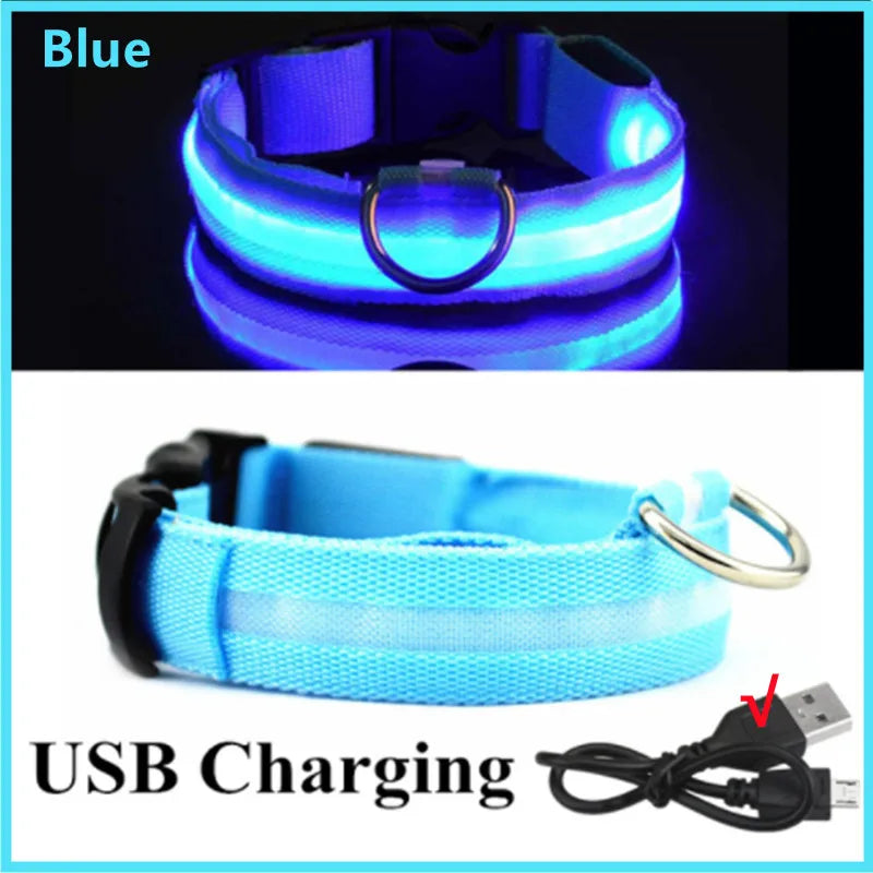 TrustiTails NightGlow LED Dog Collar