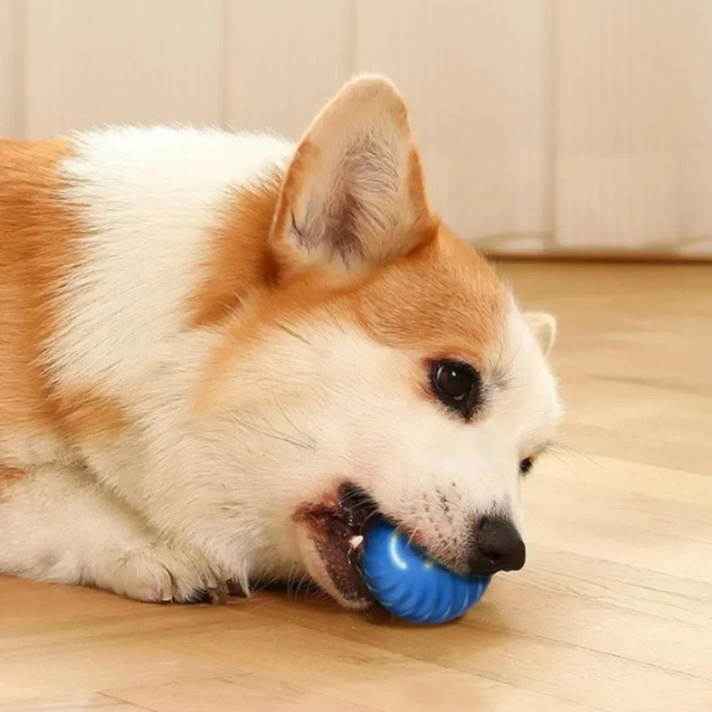 TrustiTails BounceBuddy Automatic Moving Dog Ball