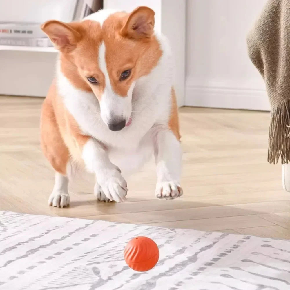 TrustiTails BounceBuddy Automatic Moving Dog Ball