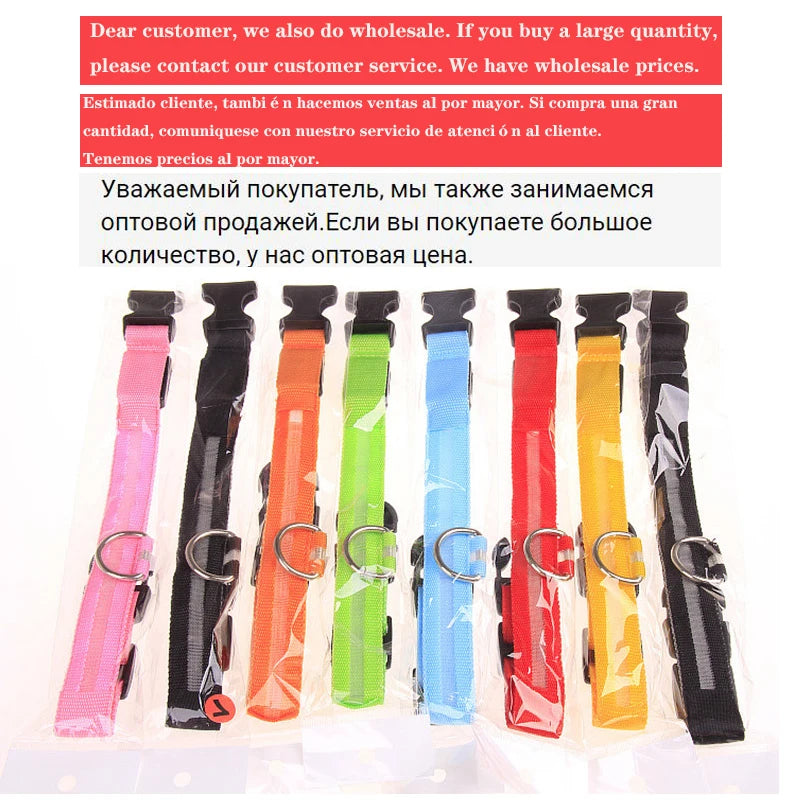 TrustiTails NightGlow LED Dog Collar