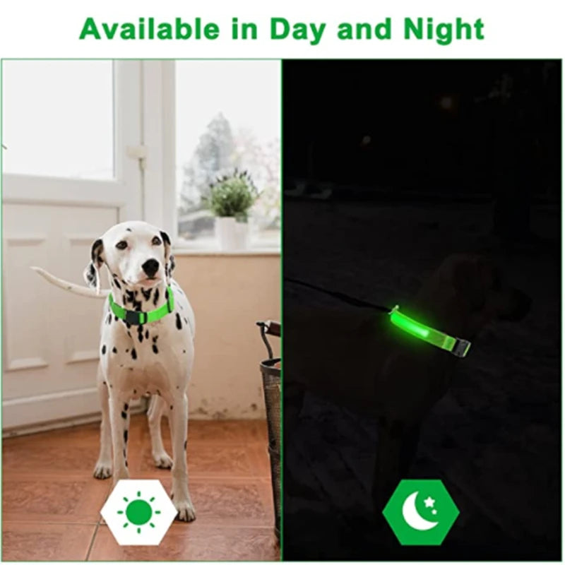 TrustiTails NightGlow LED Dog Collar