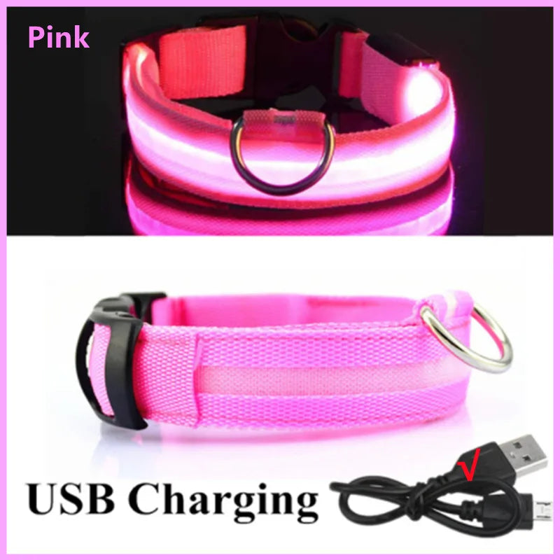 TrustiTails NightGlow LED Dog Collar