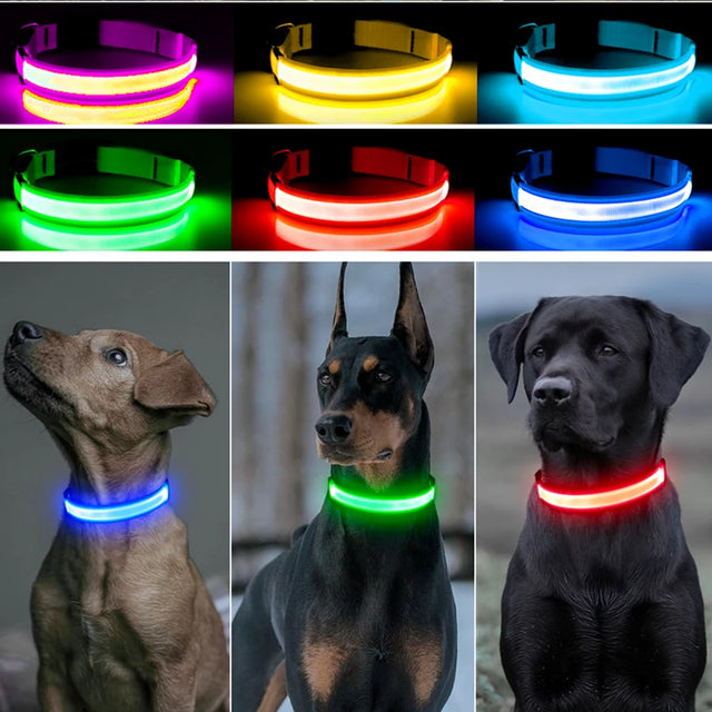 TrustiTails NightGlow LED Dog Collar