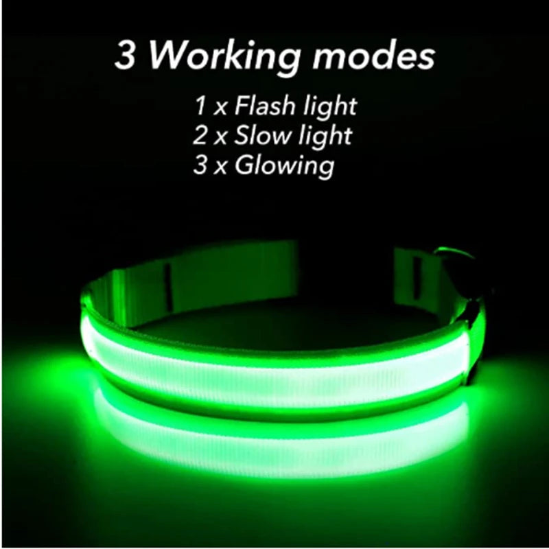 TrustiTails NightGlow LED Dog Collar
