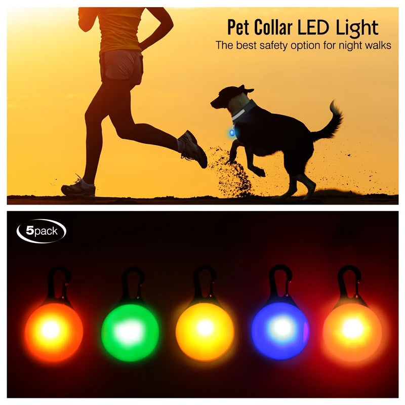 TrustiTails NightGlow LED Dog Collar