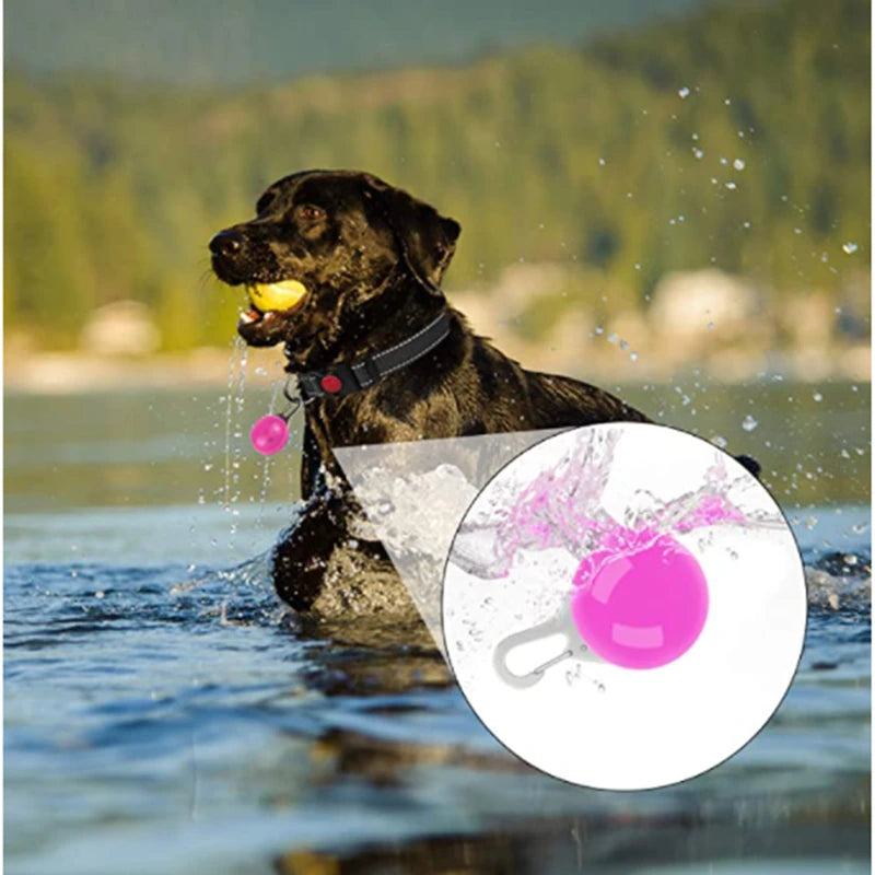TrustiTails NightGlow LED Dog Collar