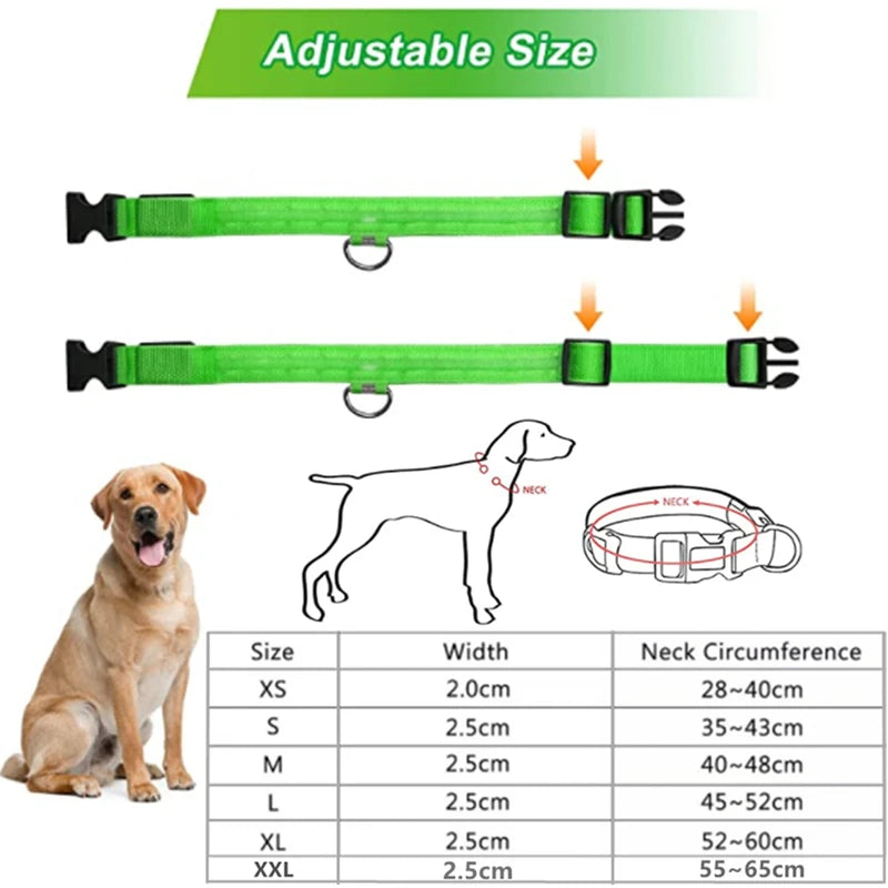 TrustiTails NightGlow LED Dog Collar