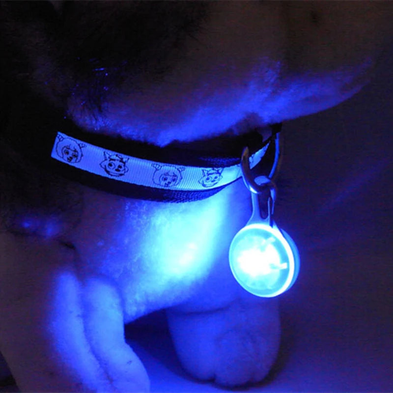 TrustiTails NightGlow LED Dog Collar