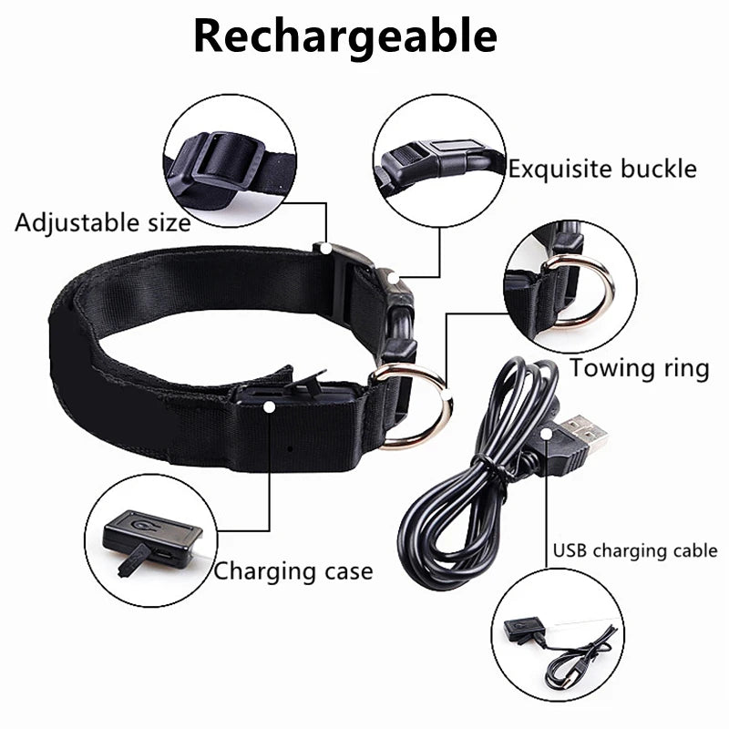 TrustiTails NightGlow LED Dog Collar