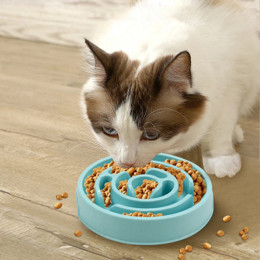 TrustiTails SlowBite Maze Slow Feeder Bowl
