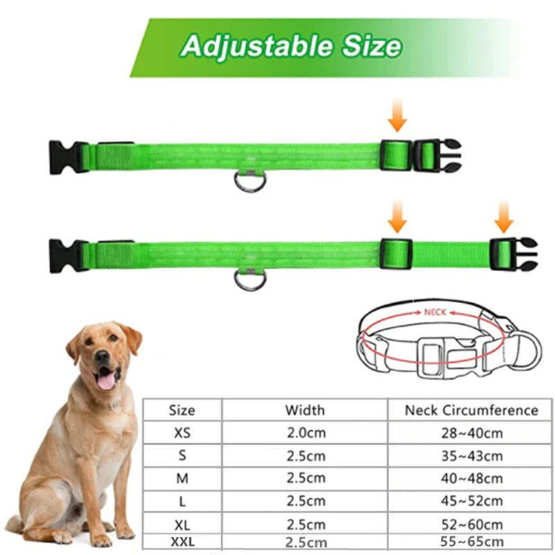 TrustiTails NightGlow LED Dog Collar