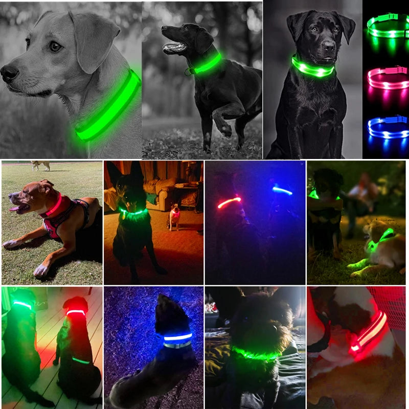 TrustiTails NightGlow LED Dog Collar