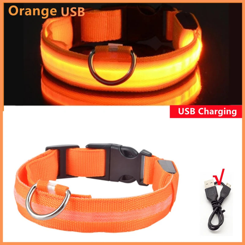 TrustiTails NightGlow LED Dog Collar
