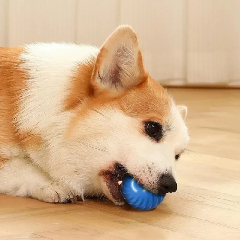 TrustiTails BounceBuddy Automatic Moving Dog Ball