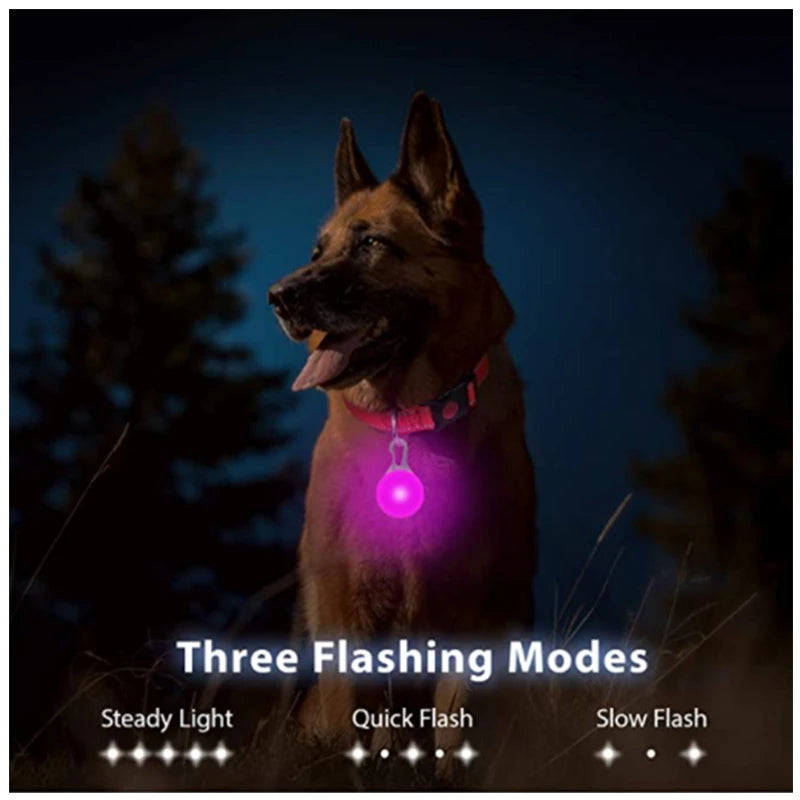 TrustiTails NightGlow LED Dog Collar