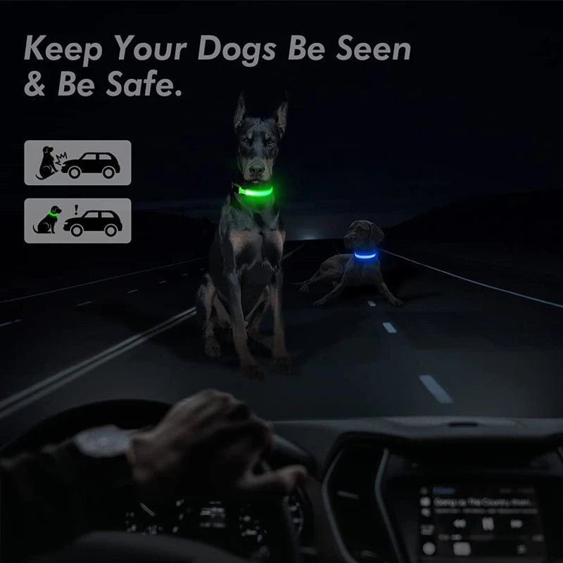 TrustiTails NightGlow LED Dog Collar