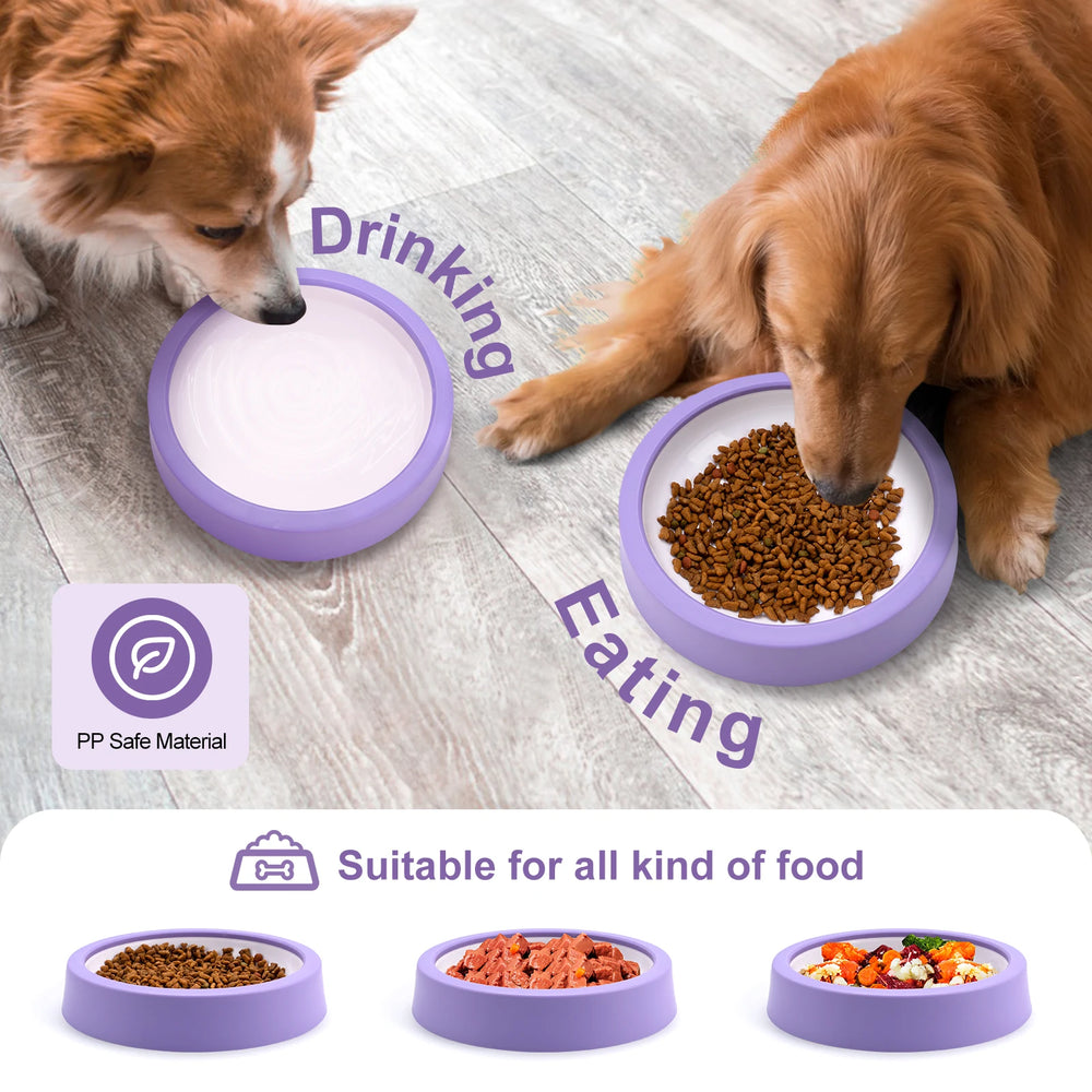 TrustiTails SlowBite Maze Slow Feeder Bowl