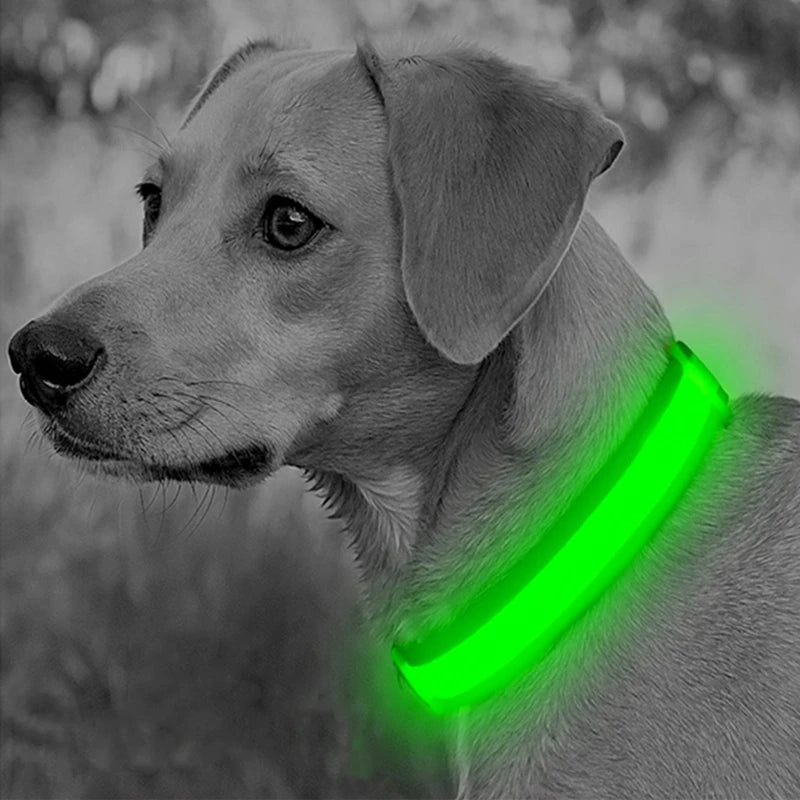TrustiTails NightGlow LED Dog Collar