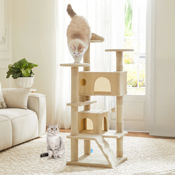 Cats