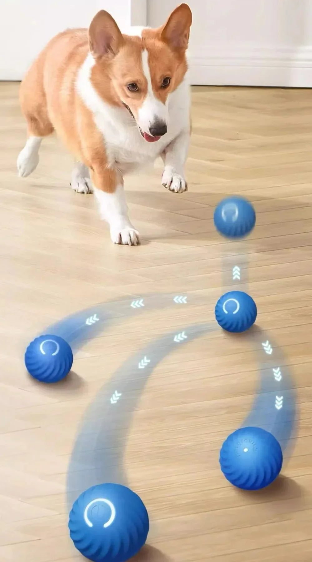 TrustiTails BounceBuddy Automatic Moving Dog Ball