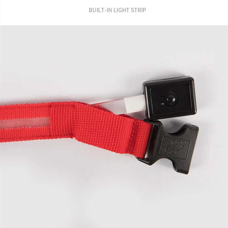 TrustiTails NightGlow LED Dog Collar