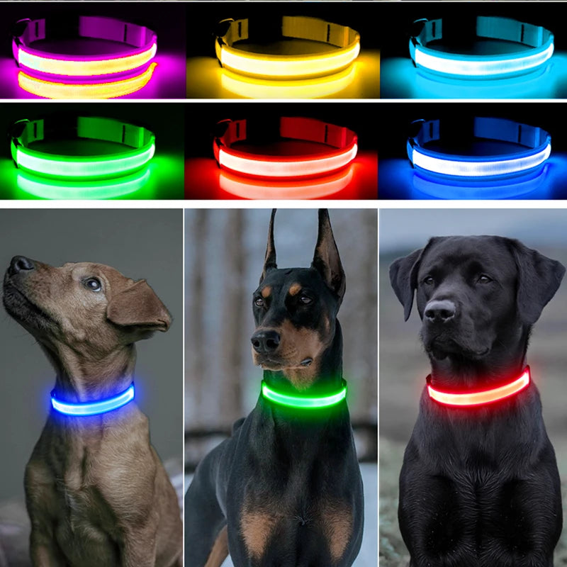 TrustiTails NightGlow LED Dog Collar