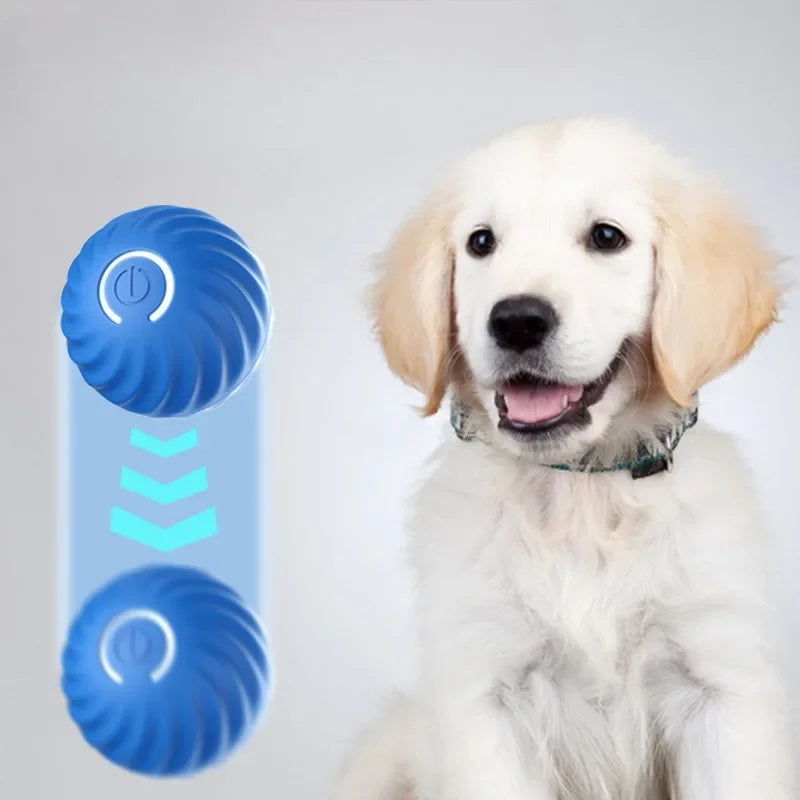 TrustiTails BounceBuddy Automatic Moving Dog Ball