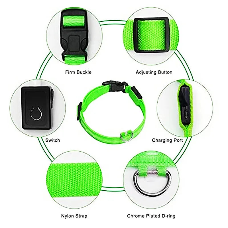TrustiTails NightGlow LED Dog Collar