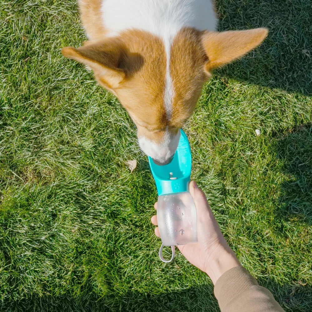 TrustiTails TrailSip Portable Pet Water Bottle
